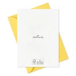 Hallmark Wish Big Assorted Boxed Blank Birthday Note Cards, Pack Of 24 -Hallmark Gift Shop Wish Big Assorted Boxed Blank Birthday Note Cards 5STZ1243 05