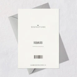 Hallmark Peanuts® Snoopy And Woodstock Blank Card -Hallmark Gift Shop Woodstock on Snoopys Head Blank Card 659LAD4819 06