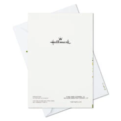 Hallmark Wreath And Pine Branch Boxed Christmas Cards With Seals, Pack Of 40 -Hallmark Gift Shop Wreath and Pine Branch Bulk Boxed Christmas Cards 1BXX1020 07