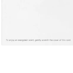 Hallmark Greenery Wreath Pine-Scented Boxed Christmas Cards, Pack Of 12 -Hallmark Gift Shop Wreath and Pine Scent Boxed Christmas Cards 1XPX2718 05